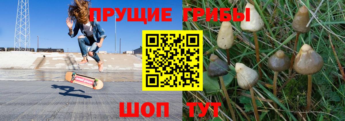 Галлюциногенные грибы ЛСД Канаш