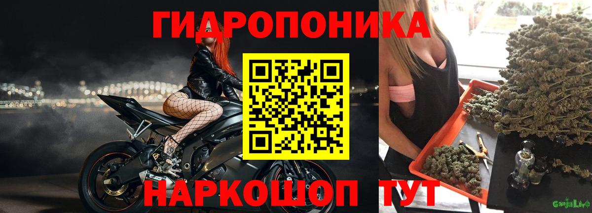 МАРИХУАНА OG Kush Канаш
